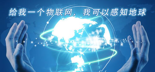 物聯(lián)網(wǎng)產(chǎn)業(yè)崛起背后的無(wú)形基石 網(wǎng)絡(luò)技術(shù)開發(fā)的驅(qū)動(dòng)與創(chuàng)新